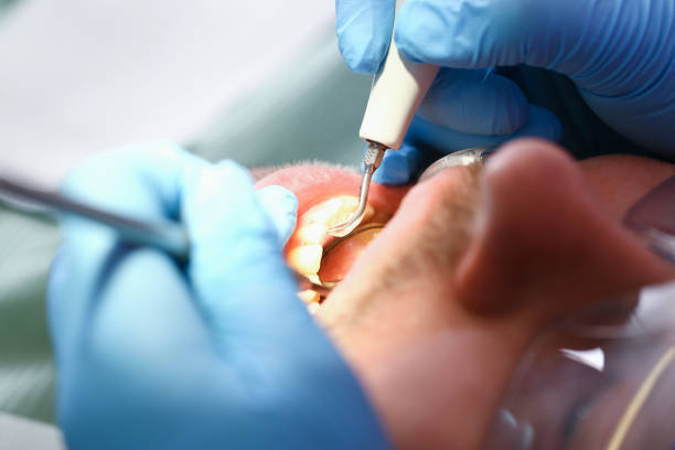 Best Pediatric Emergency Dentist in Lake Of The Woods, VA